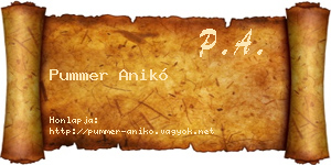 Pummer Anikó névjegykártya
